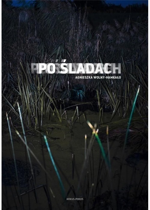 Po śladach