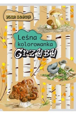 Leśna kolorowanka. Grzyby