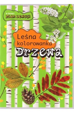 Leśna kolorowanka. Drzewa