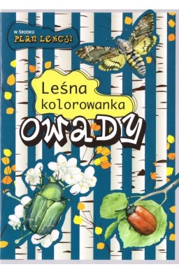 Leśna kolorowanka. Owady