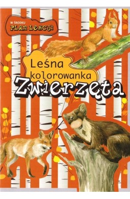 Leśna kolorowanka. Zwierzęta