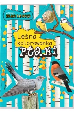 Leśna kolorowanka. Ptaki