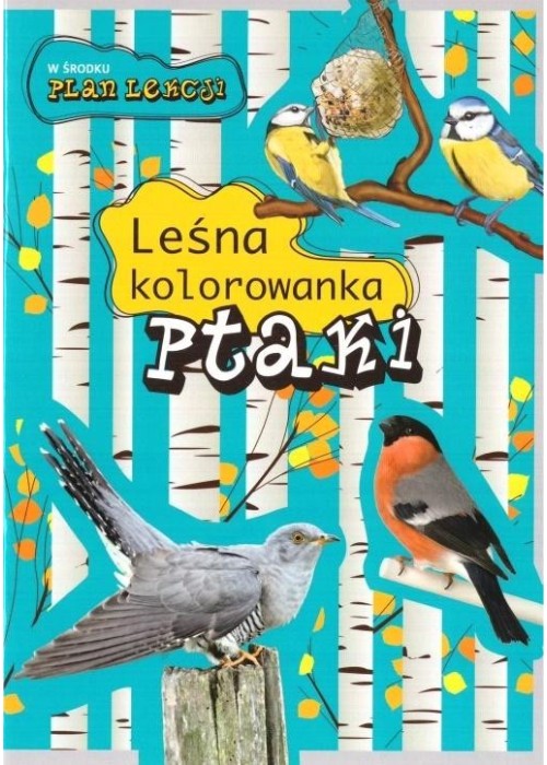 Leśna kolorowanka. Ptaki