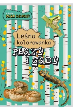 Leśna kolorowanka. Płazy i gady