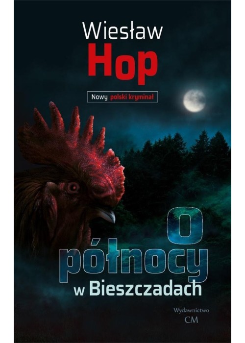 O północy w Bieszczadach