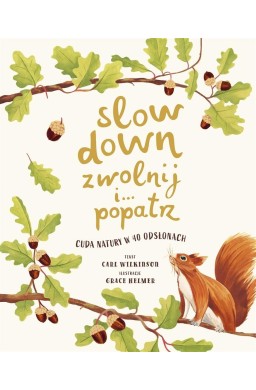 Slow Down. Zwolnij i popatrz. Cuda natury..