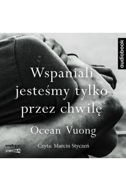 Wspaniali jesteśmy tylko przez chwilę audiobook