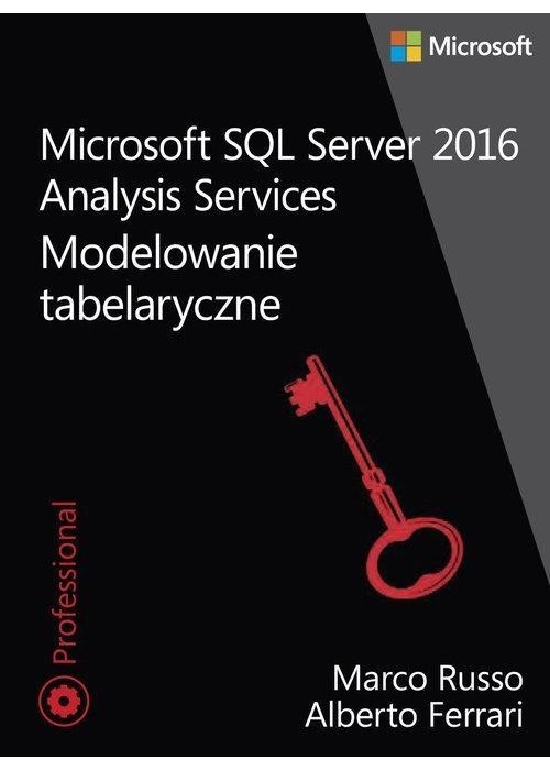 Microsoft SQL Server 2016 Analysis Services.