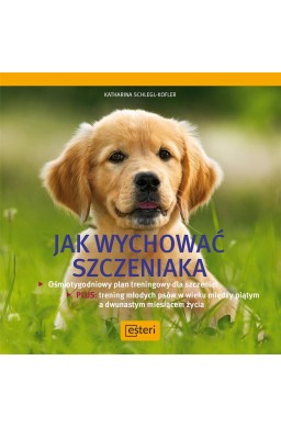 Jak wychować szczeniaka