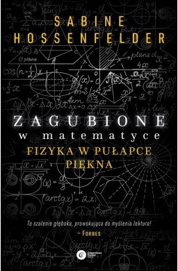 Zagubione w matematyce. Fizyka w pułapce piękna