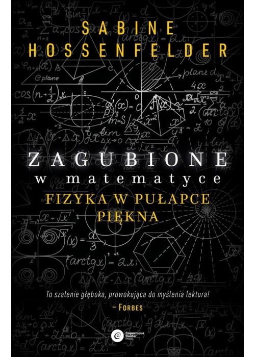 Zagubione w matematyce. Fizyka w pułapce piękna