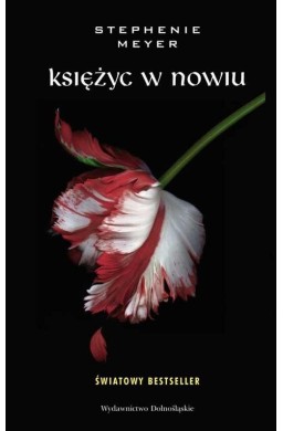 Księżyc w nowiu