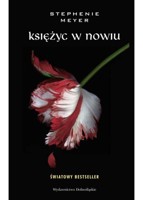 Księżyc w nowiu