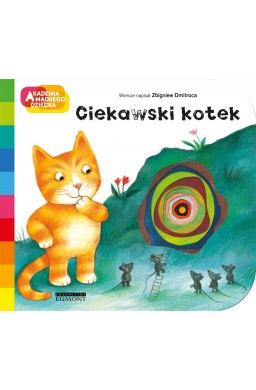 Ciekawski kotek