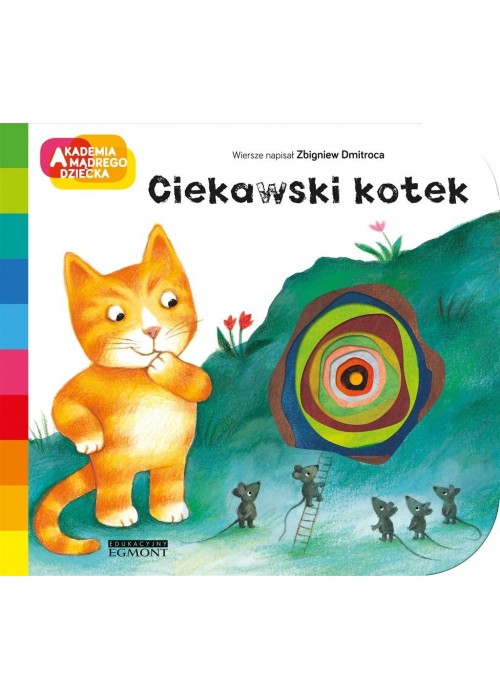 Ciekawski kotek