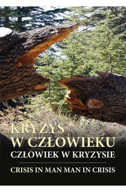 Kryzys w człowieku, człowiek w kryzysie