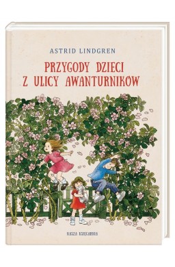 Przygody dzieci z ulicy Awanturników