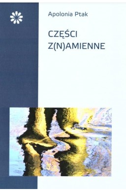 Części z(n)amienne