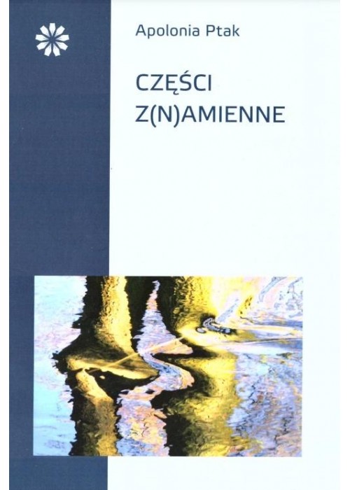 Części z(n)amienne