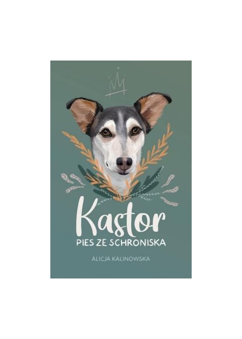 Kastor. Pies ze schroniska