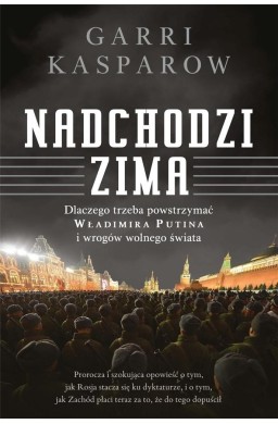 Nadchodzi zima