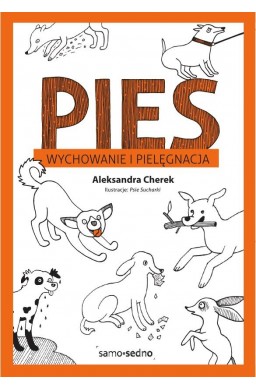 Pies. Wychowanie i pielęgnacja