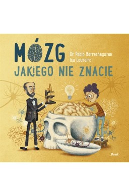 Mózg jakiego nie znacie