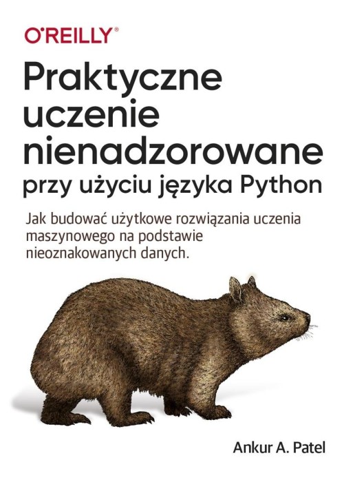 Praktyczne uczenie nienadzorowane przy użyciu języ