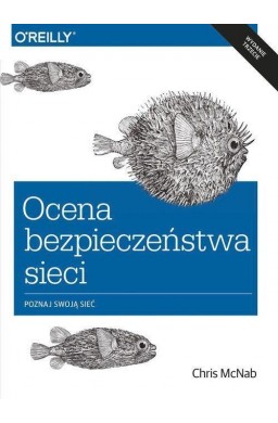 Ocena bezpieczeństwa w sieci w. III