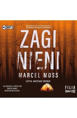 Zaginieni audiobook