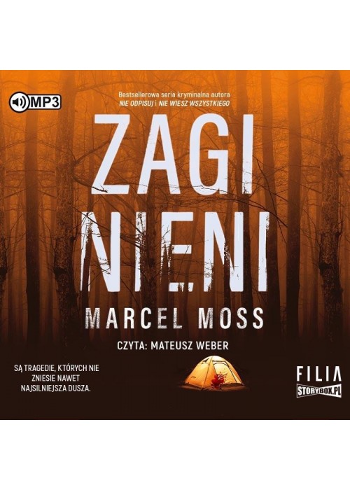 Zaginieni audiobook