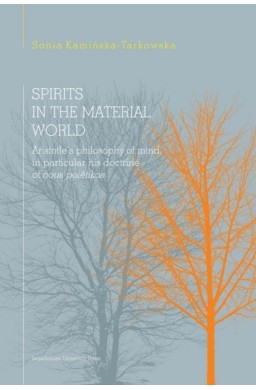 Spirits in the material world