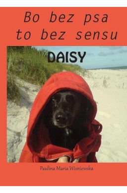 Daisy. Bo bez psa to bez sensu