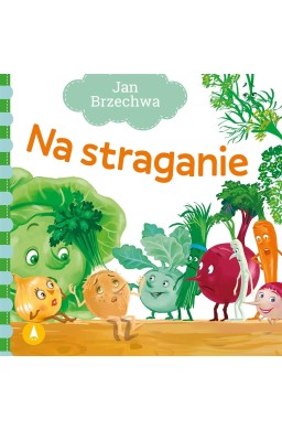 Na straganie