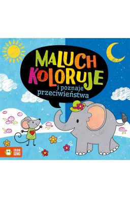 Maluch koloruje i poznaje przeciwieństwa