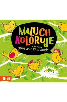 Maluch koloruje i ćwiczy spostrzegawczość