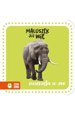 Maluszek już wie. Zwierzęta w zoo