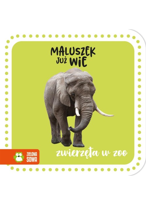 Maluszek już wie. Zwierzęta w zoo