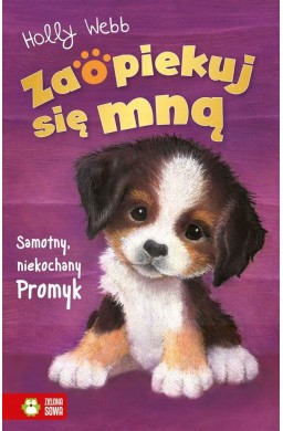 Zaopiekuj się mną. Samotny, niekochany Promyk