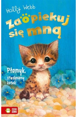 Zaopiekuj się mną. Płomyk, stęskniony kotek