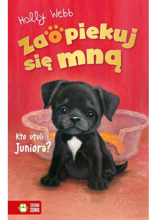 Zaopiekuj się mną. Kto utuli Juniora?