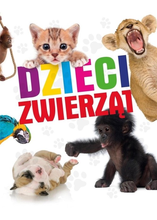 Dzieci zwierząt