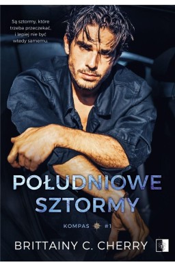 Południowe sztormy