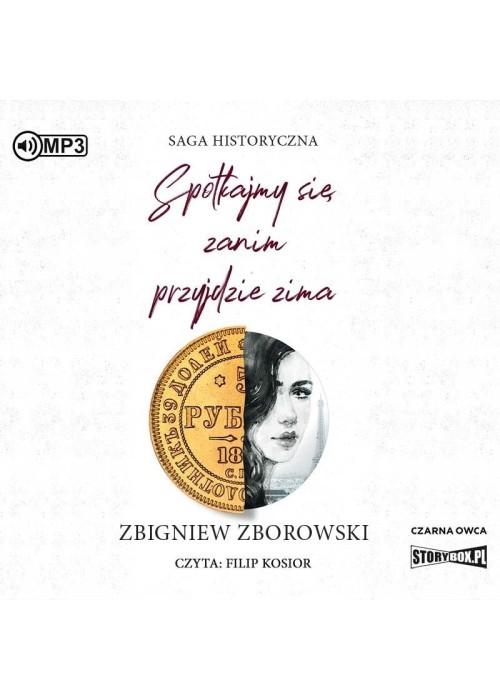 Spotkajmy się, zanim przyjdzie zima audiobook