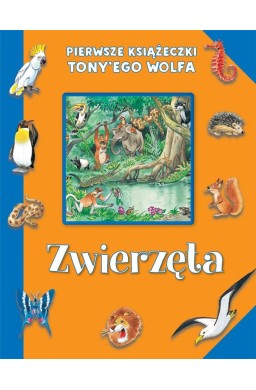 Pierwsze książeczki Tony'ego Wolfa. Zwierzęta