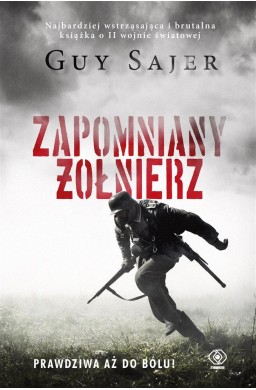 Zapomniany żołnierz