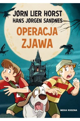 Operacja Zjawa