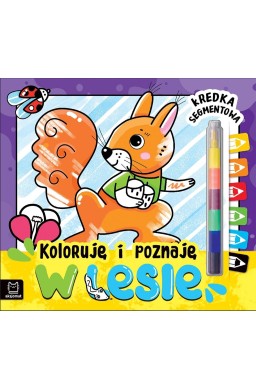 Koloruję i poznaję. W lesie. Kredka segmentowa