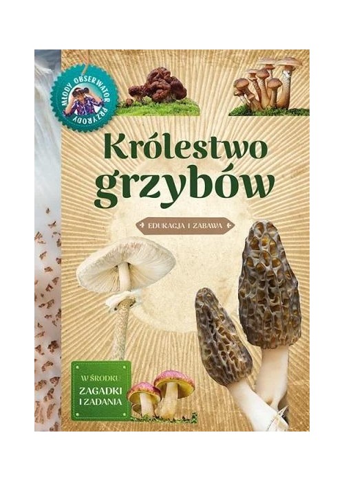 Królestwo grzybów