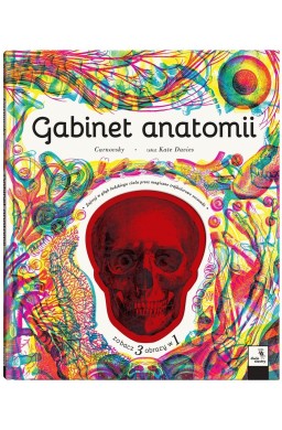 Gabinet anatomii